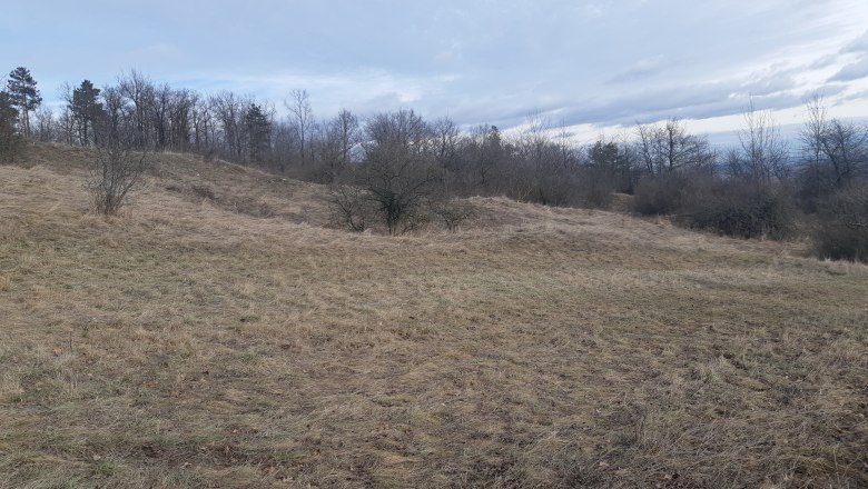 Steinbacher Heide, © Naturpark Leiser Berge