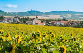 Die Marktgemeinde Ernstbrunn, im Hintergrund Oberleiser Berg und Buschberg, © Fotoclub Ernstbrunn | Hans Gumpinger