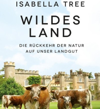 Wildes Land