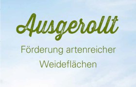 Ausgerollt - Cover