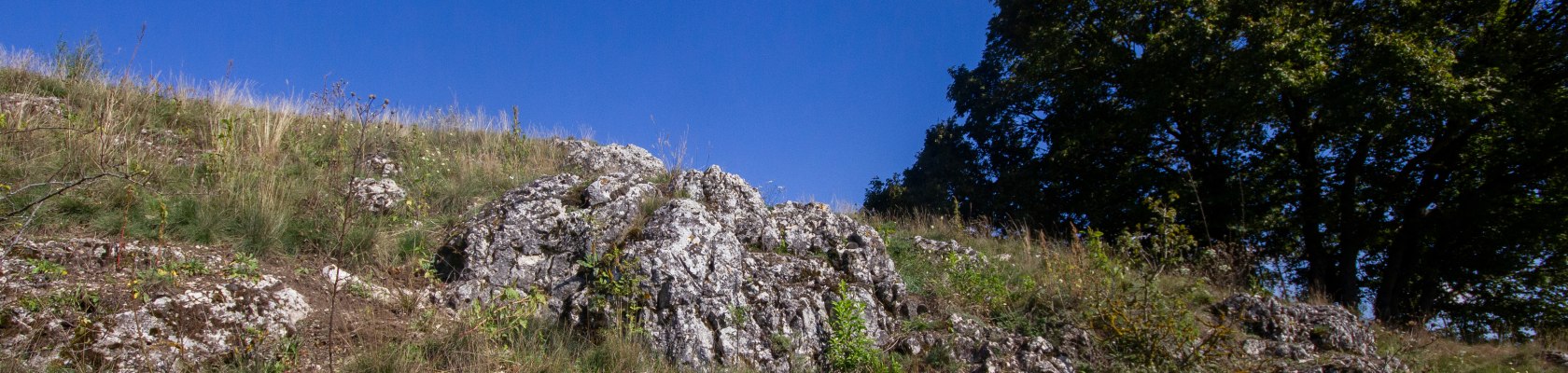 Felstrockenrasen Oberleiser Berg, © Naturpark Leiser Berge