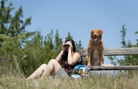 Buschberg Erholung Hund