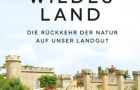 Wildes Land