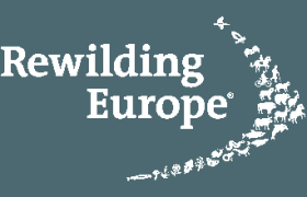 Logo Rewilding Europe