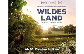 Wildes Land